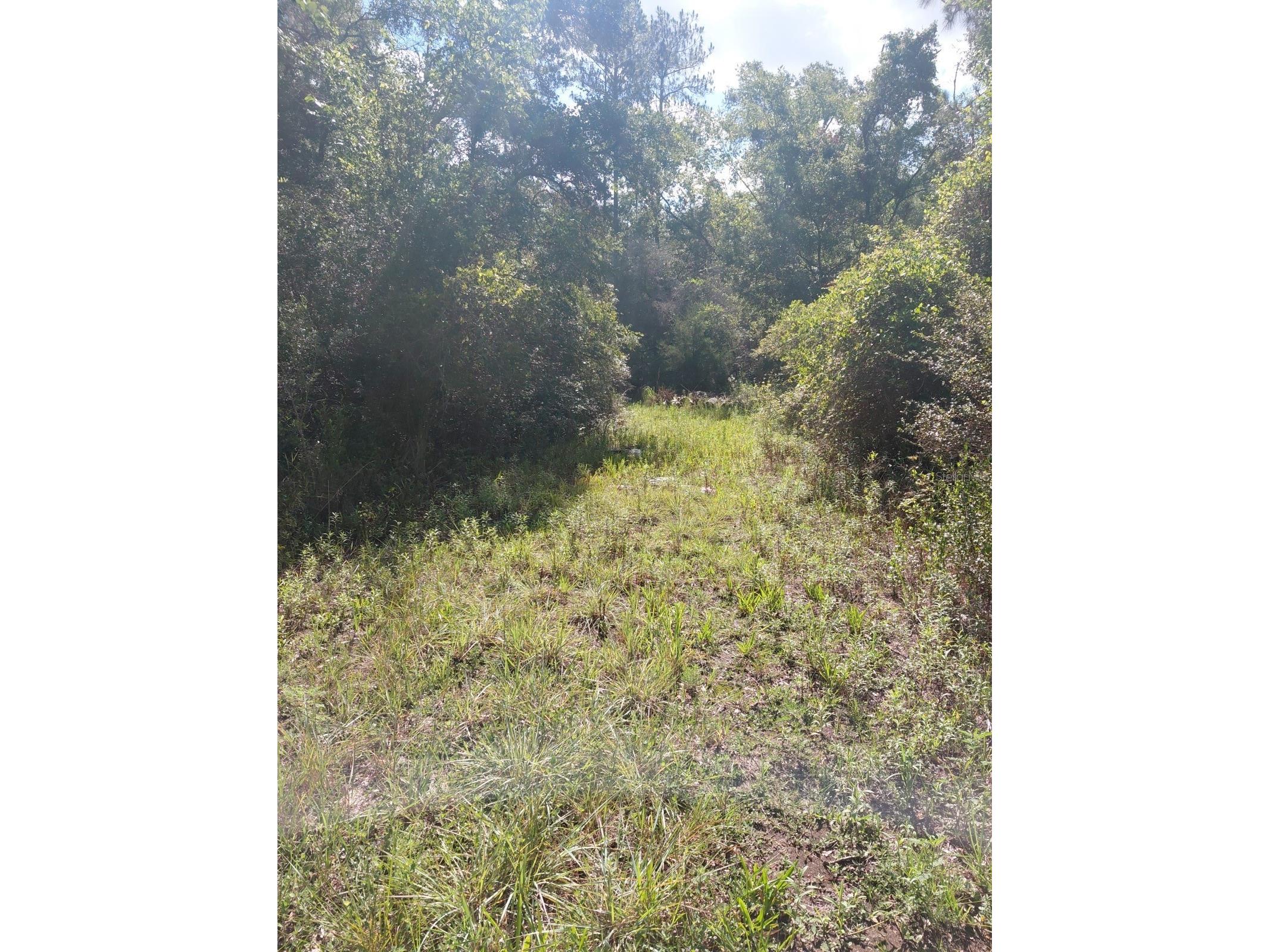 Pinon Drive Webster FL 33597 G5114760 image2