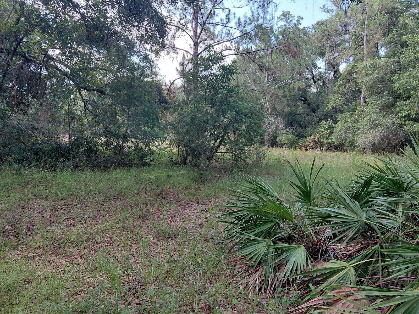 Pinon Drive Webster FL 33597 G5114760 image7