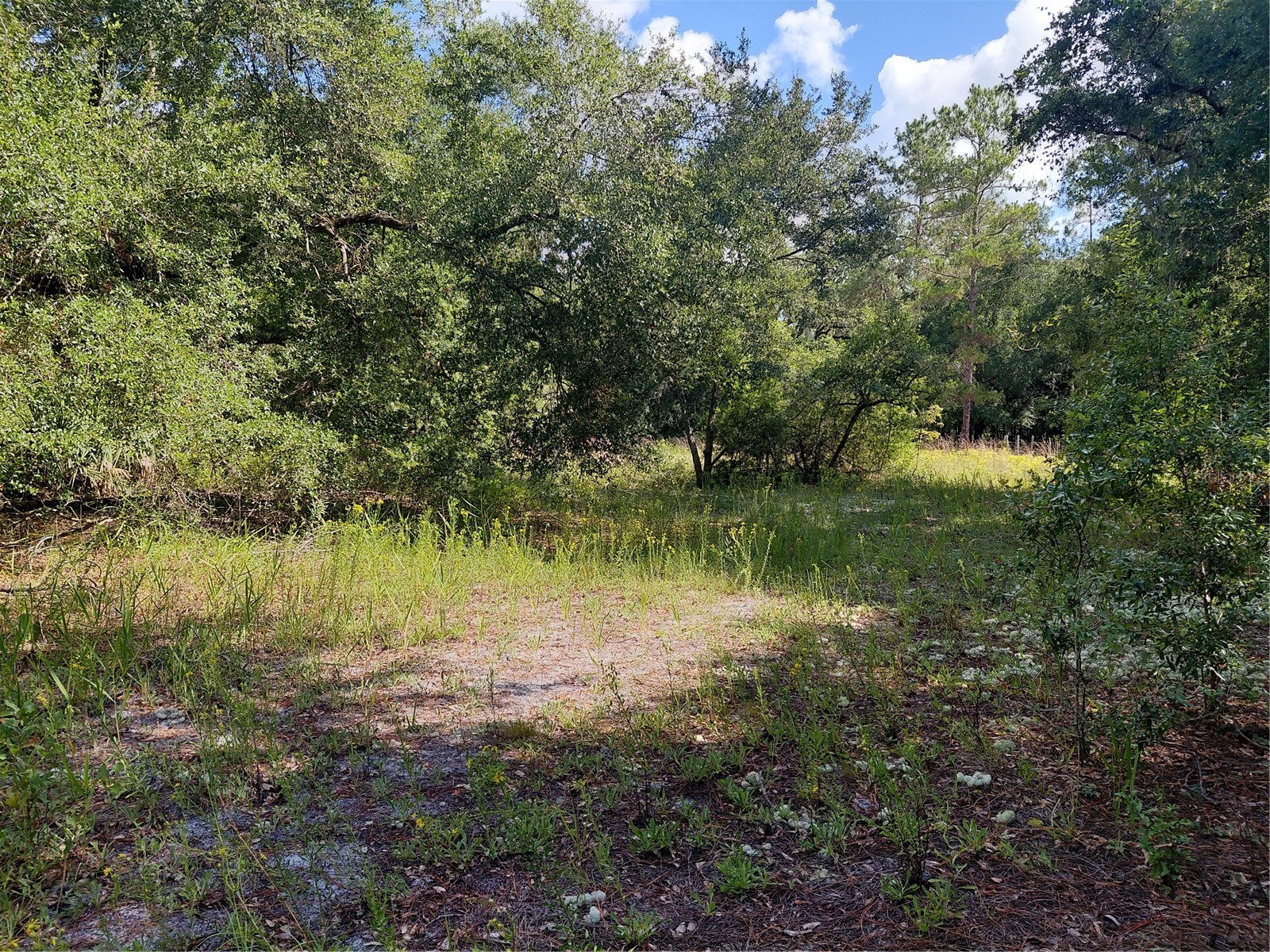 Pinon Drive Webster FL 33597 G5114760 image8