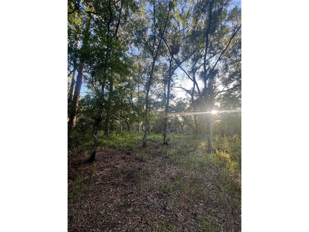 Pinon Drive Webster FL 33597 TB8375058 image1