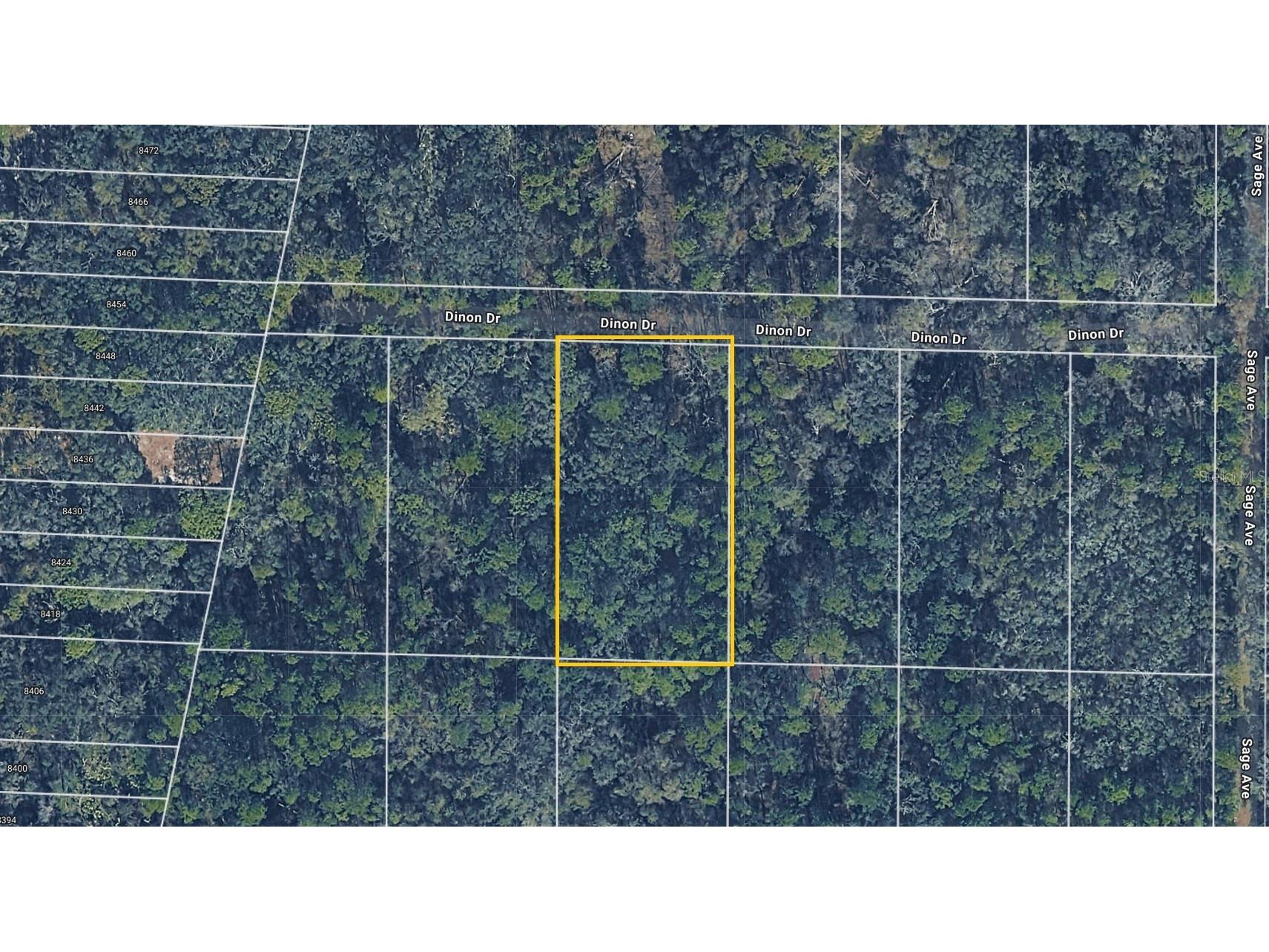 Pinon Drive Webster FL 33597 TB8488236 image1