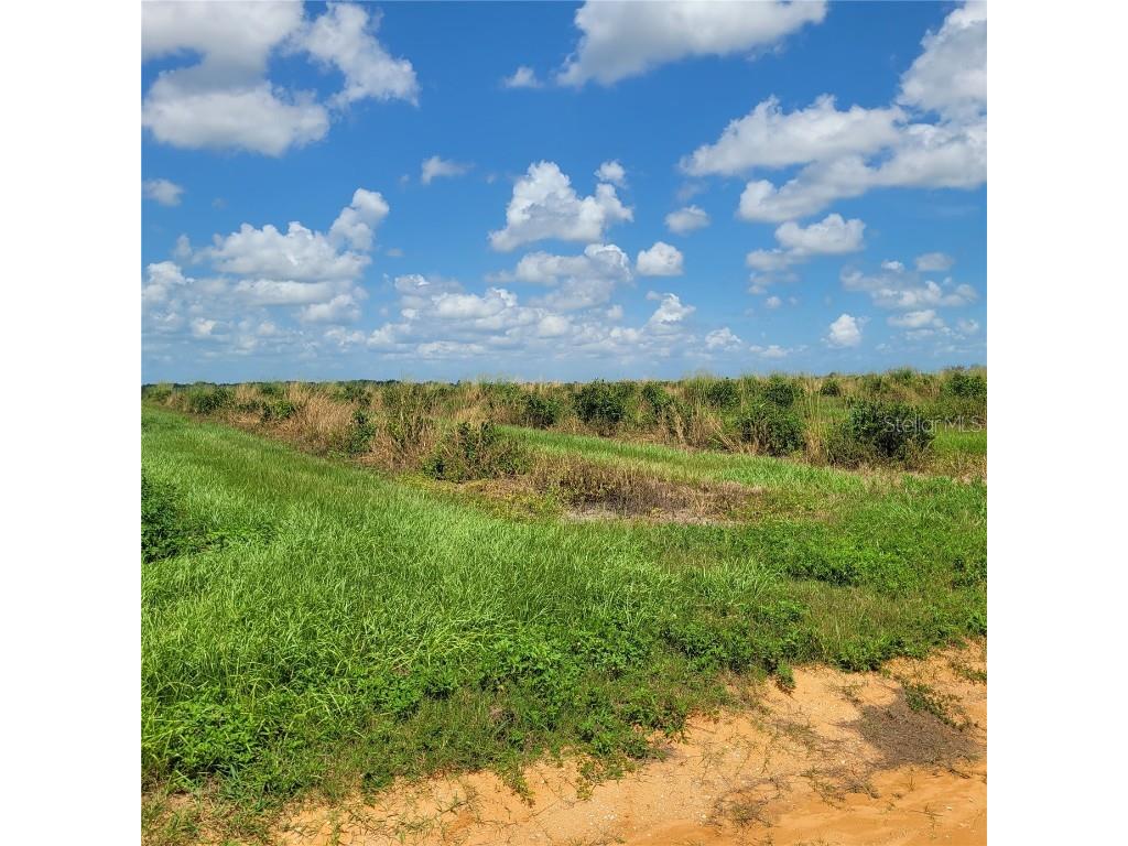 Pit Road Bartow FL 33830 B4901676 image1