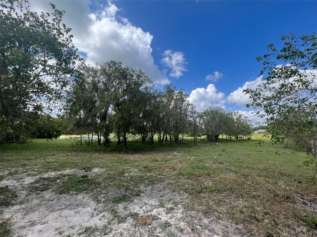 Pitt Rd Plant City FL 33567 T3475765 image1