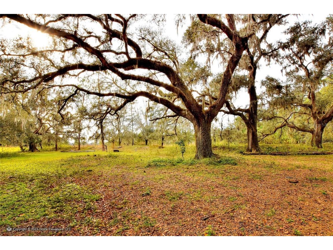  Plant City FL 33565 T3431856 image1