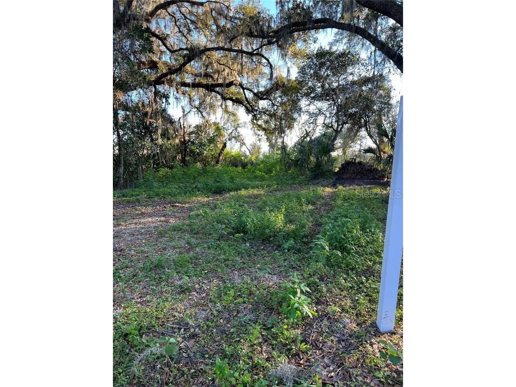  Plant City FL 33567 T3415531 image1