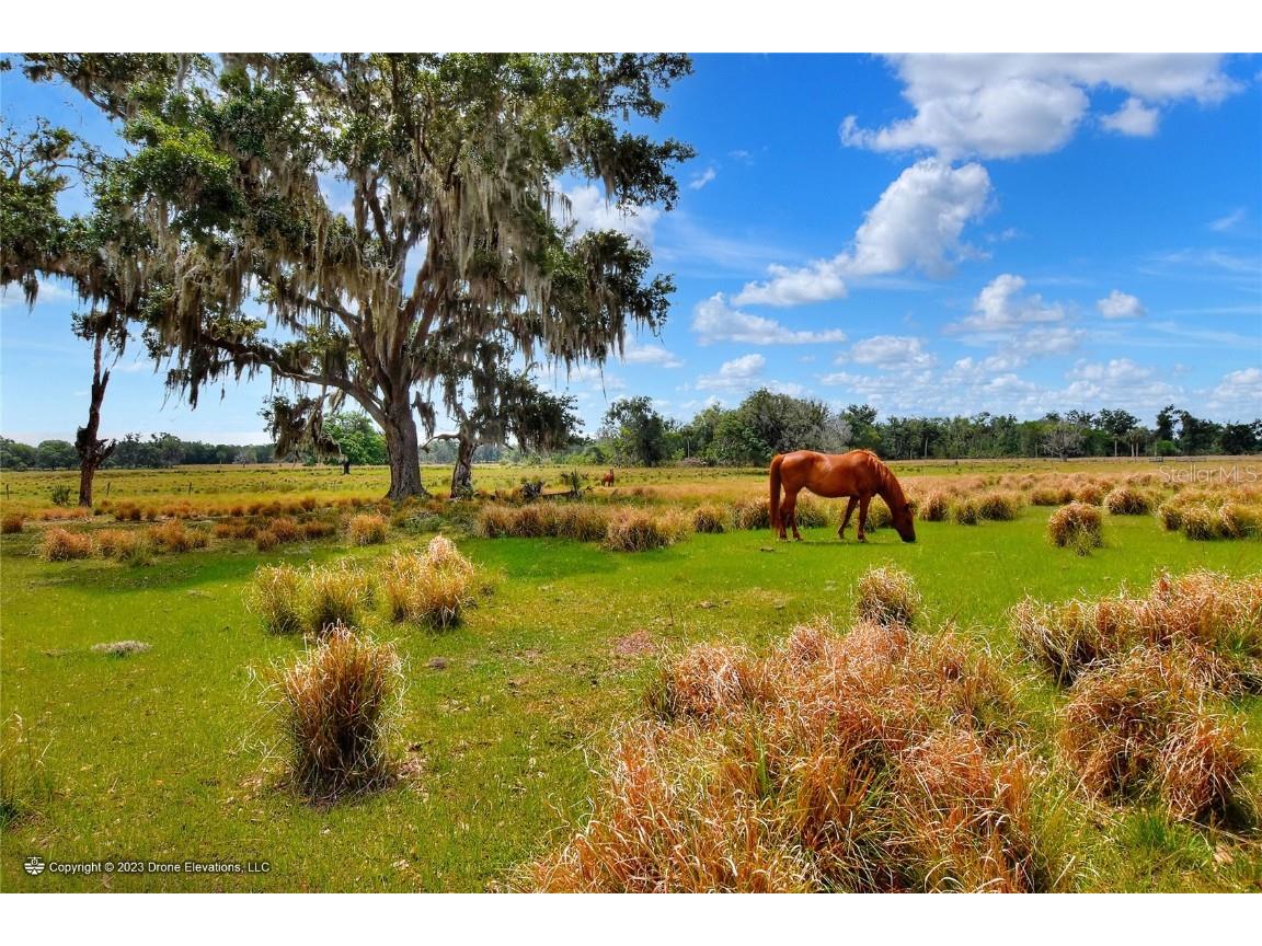  Plant City FL 33567 T3461134 image1