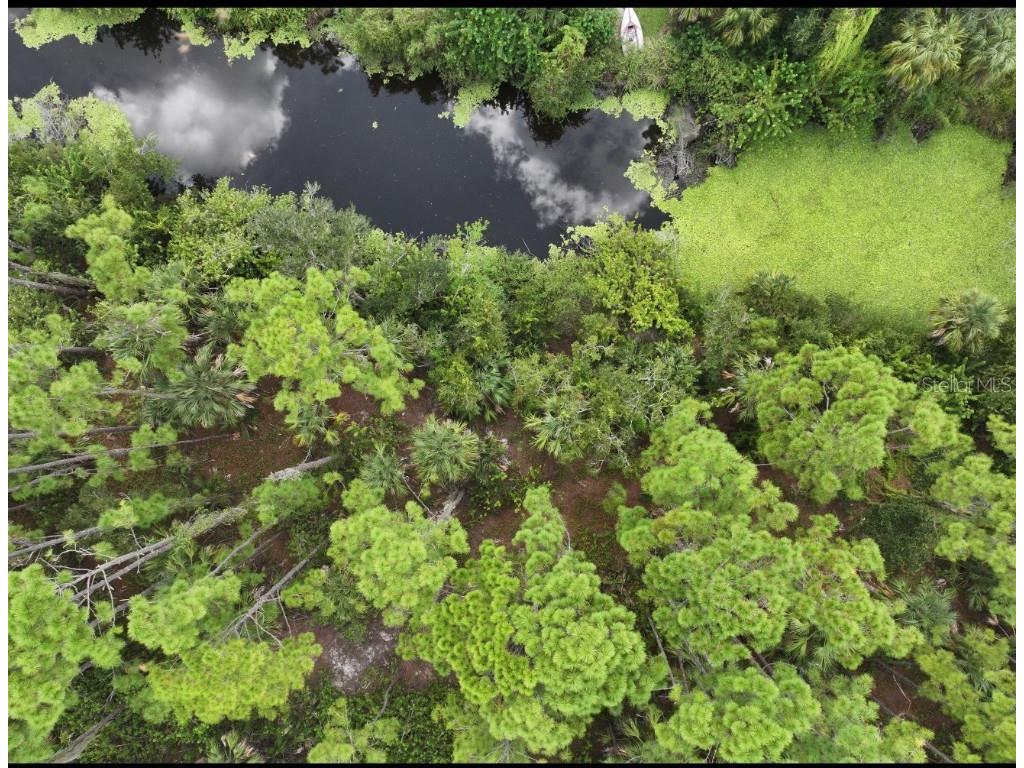 Platt Street North Port FL 34286 A4667068 image12