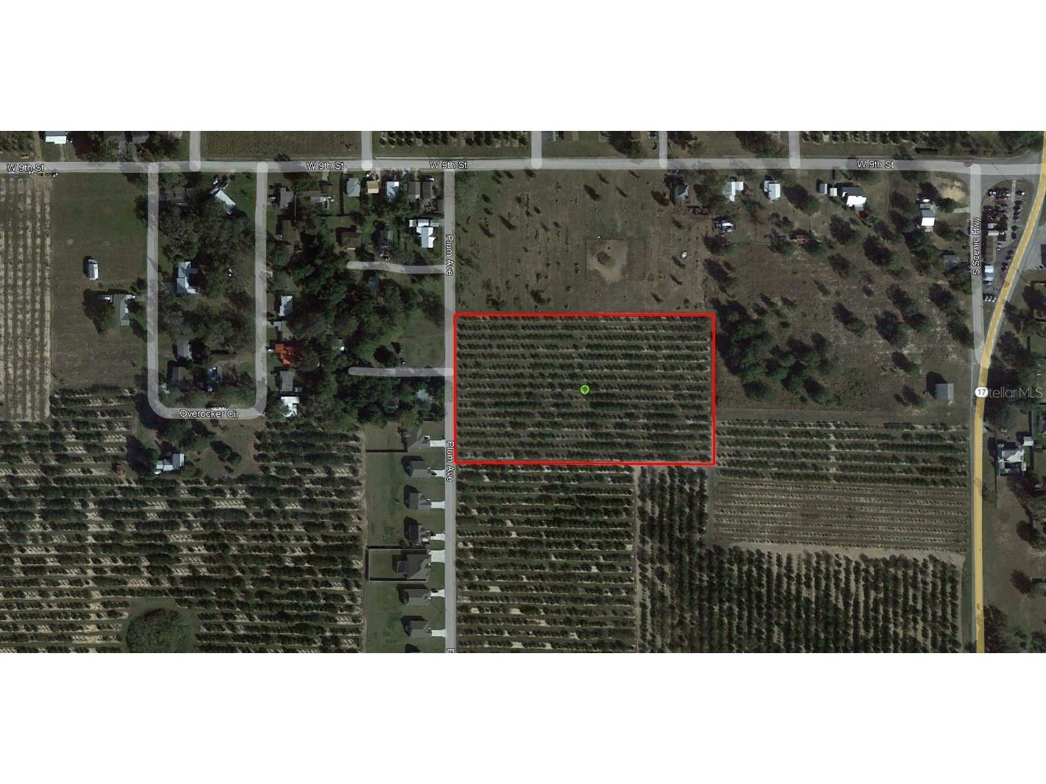 Plum Avenue S Frostproof FL 33843 P4922675 image1