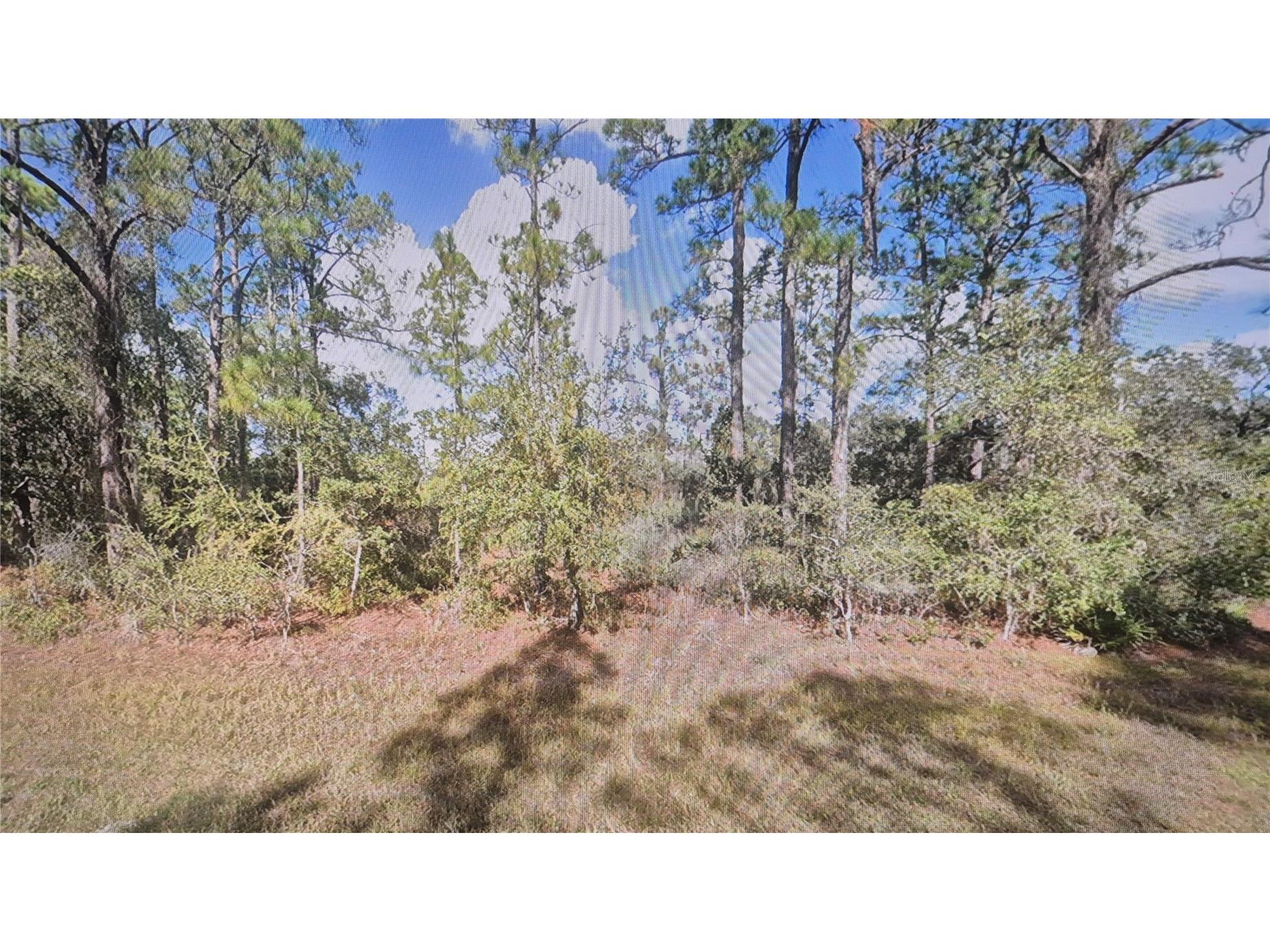 Plumosa Drive Indian Lake Estates FL 33855 O6413319 image2