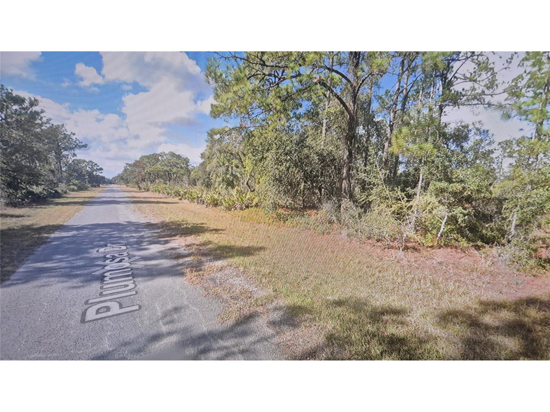 Plumosa Drive Indian Lake Estates FL 33855 O6413319 image3