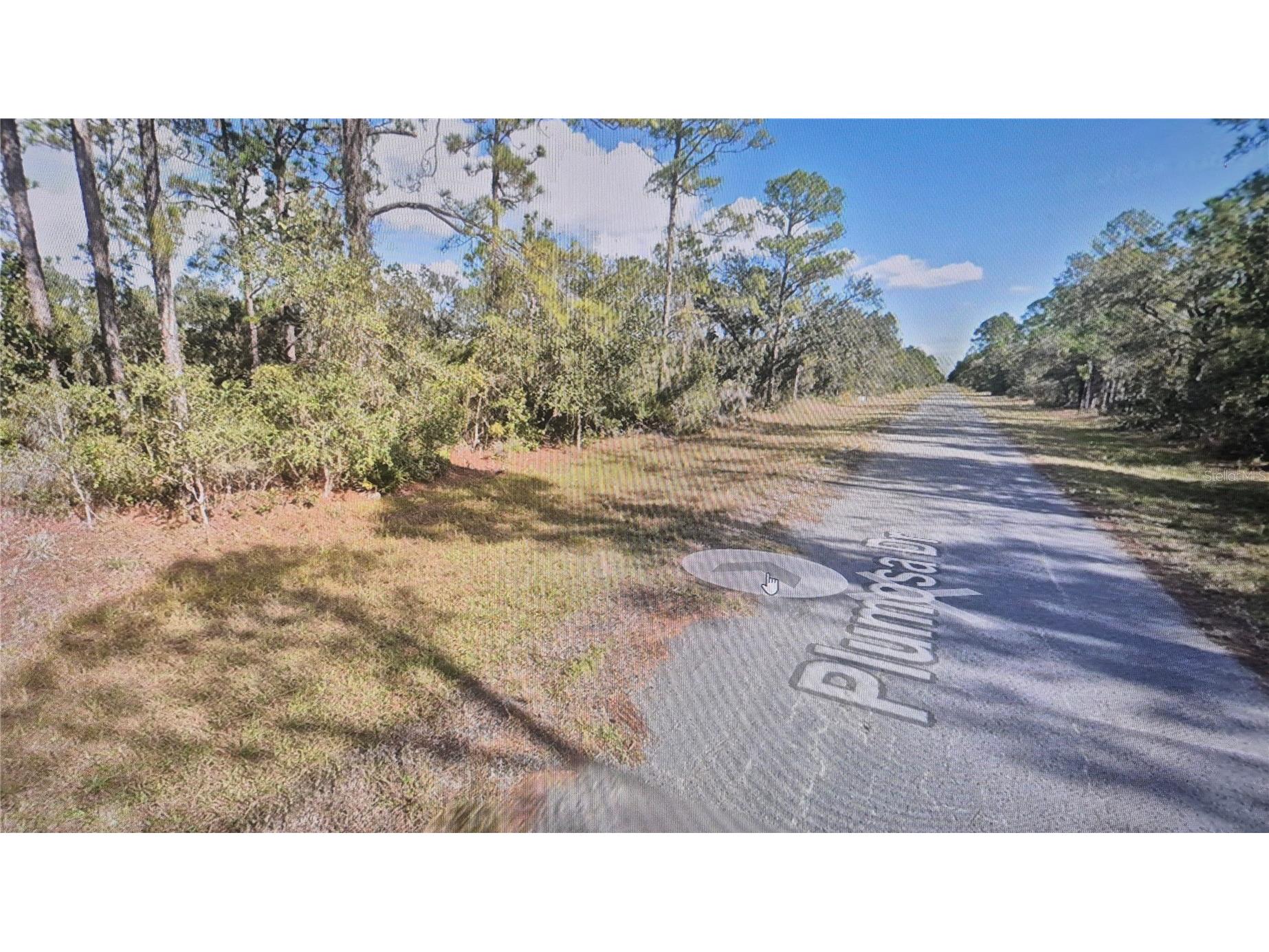 Plumosa Drive Indian Lake Estates FL 33855 O6413319 image4