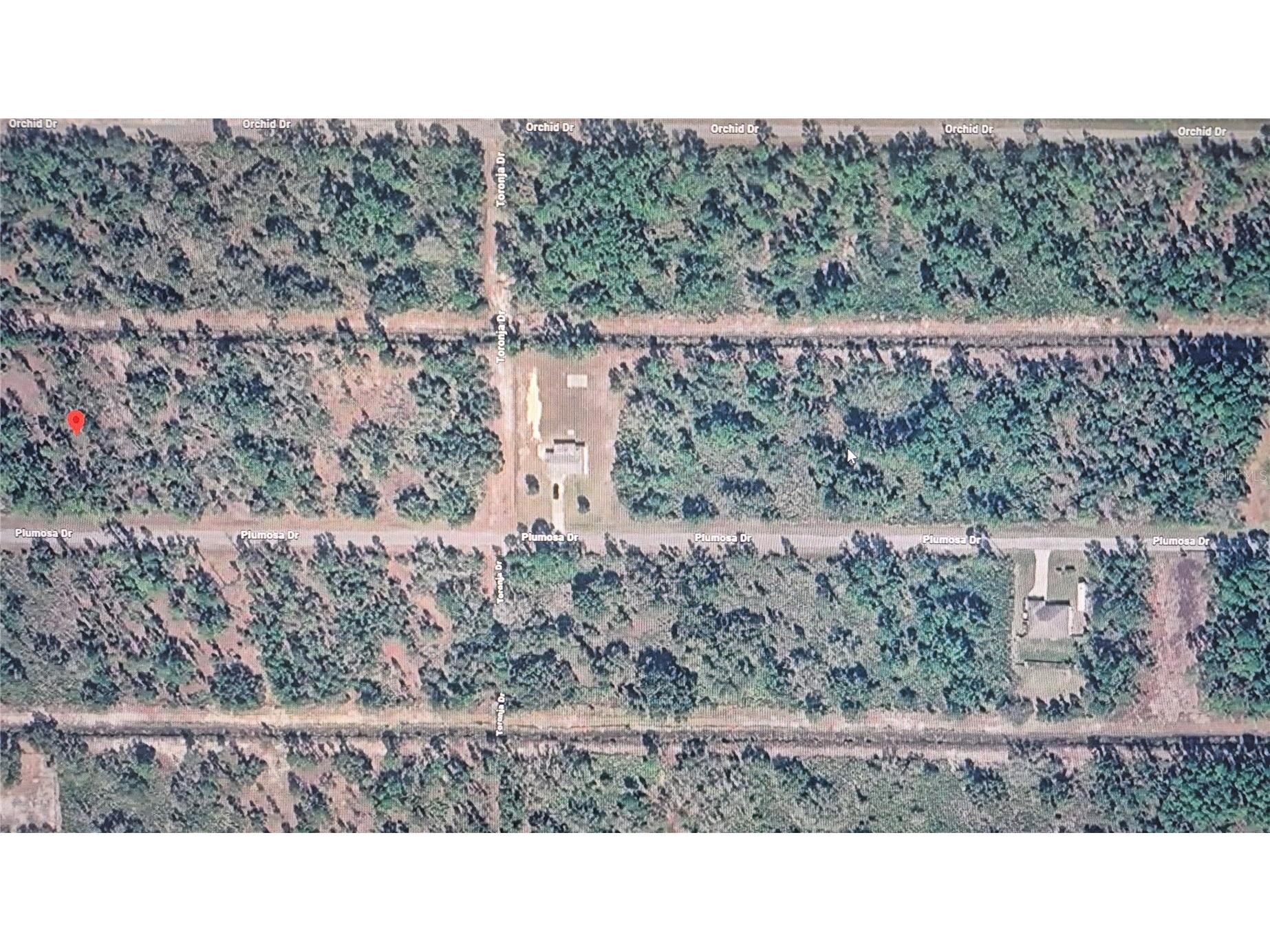 Plumosa Drive Indian Lake Estates FL 33855 O6413319 image7