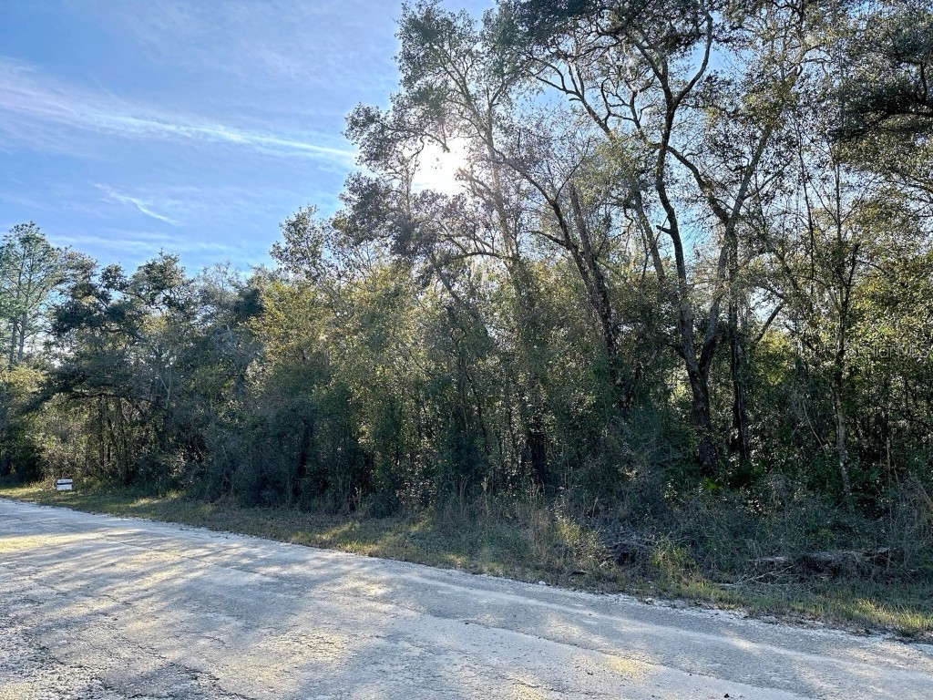 Plymouth Rock Drive Webster FL 33597 O6171246 image1