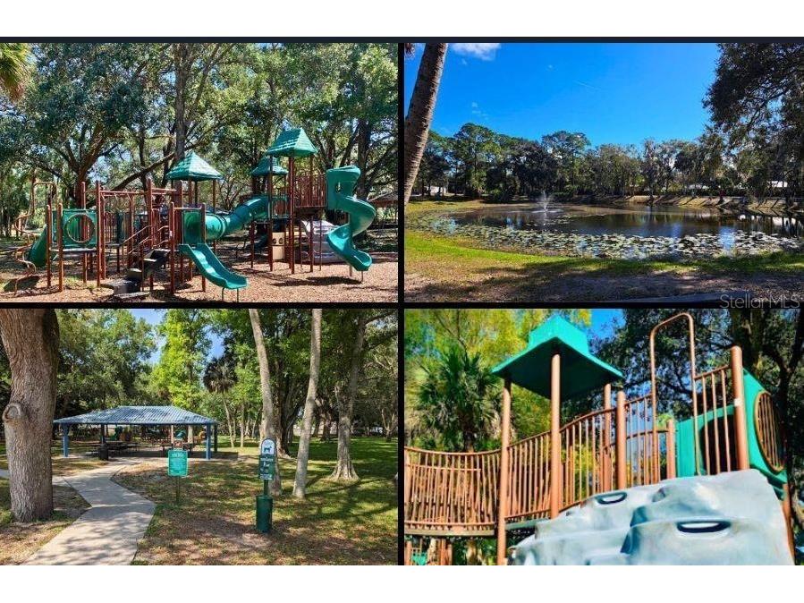 Poinciana Road Edgewater FL 32141 TB8506942 image15
