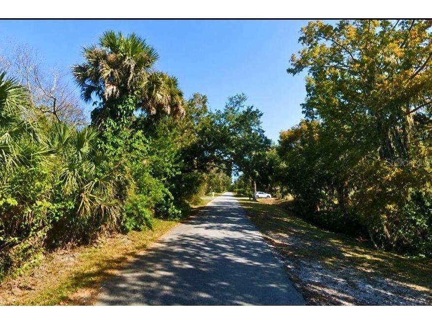Poinciana Road Edgewater FL 32141 TB8506942 image20