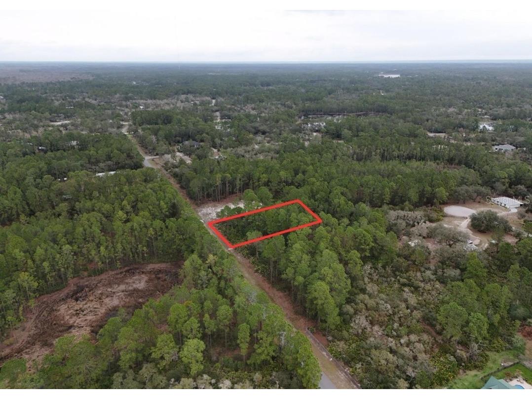 Poinciana Street Eustis FL 32736 TB8352814 image1