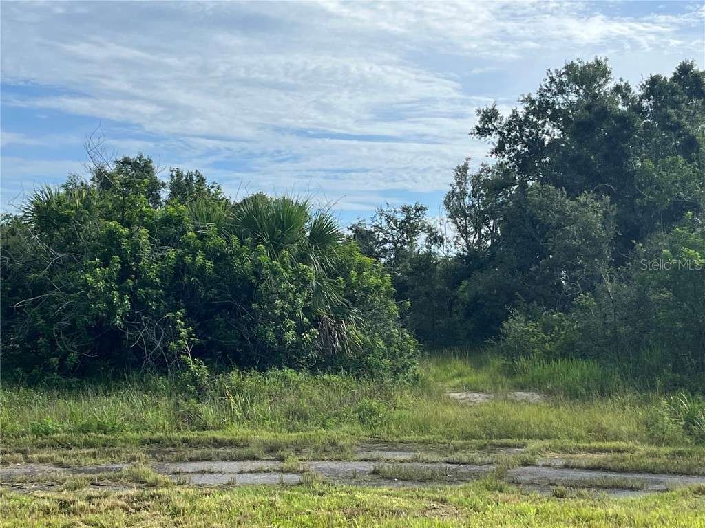 Poiret Court North Port FL 34288 U8206439 image1