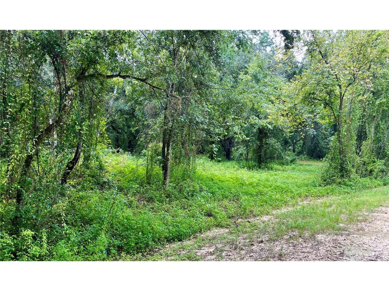 Polaris Road Dade City FL 33523 T3548682 image1