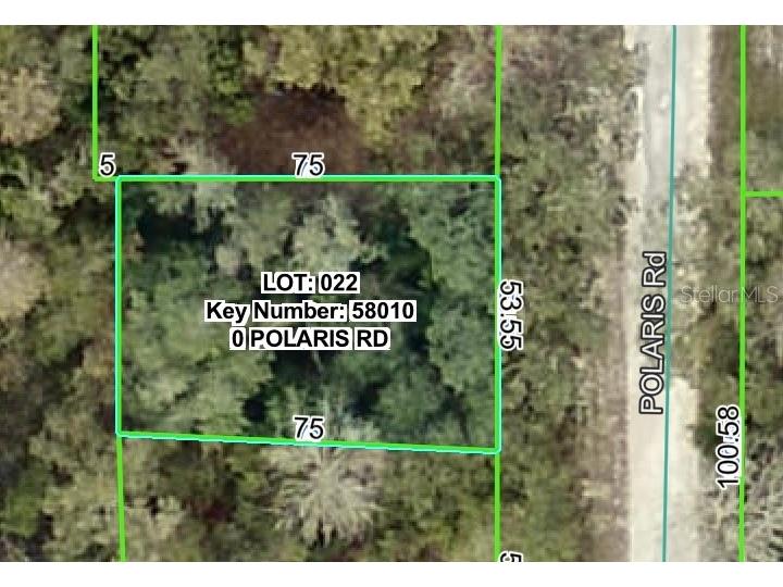 Polaris Road Dade City FL 33523 W7879459 image1