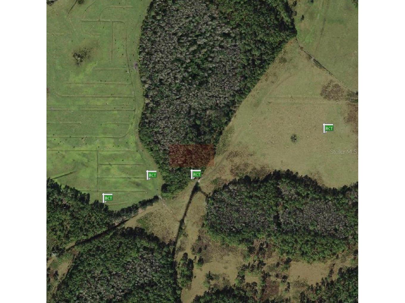 Polk City Polk City FL 33868 S5151556 image3