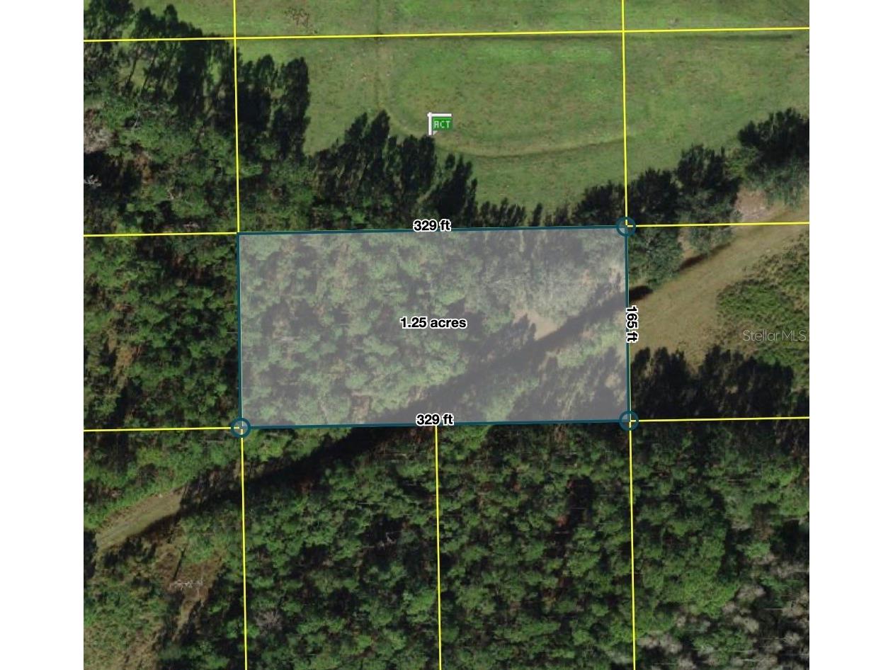 Polk City Polk City FL 33868 S5151559 image2