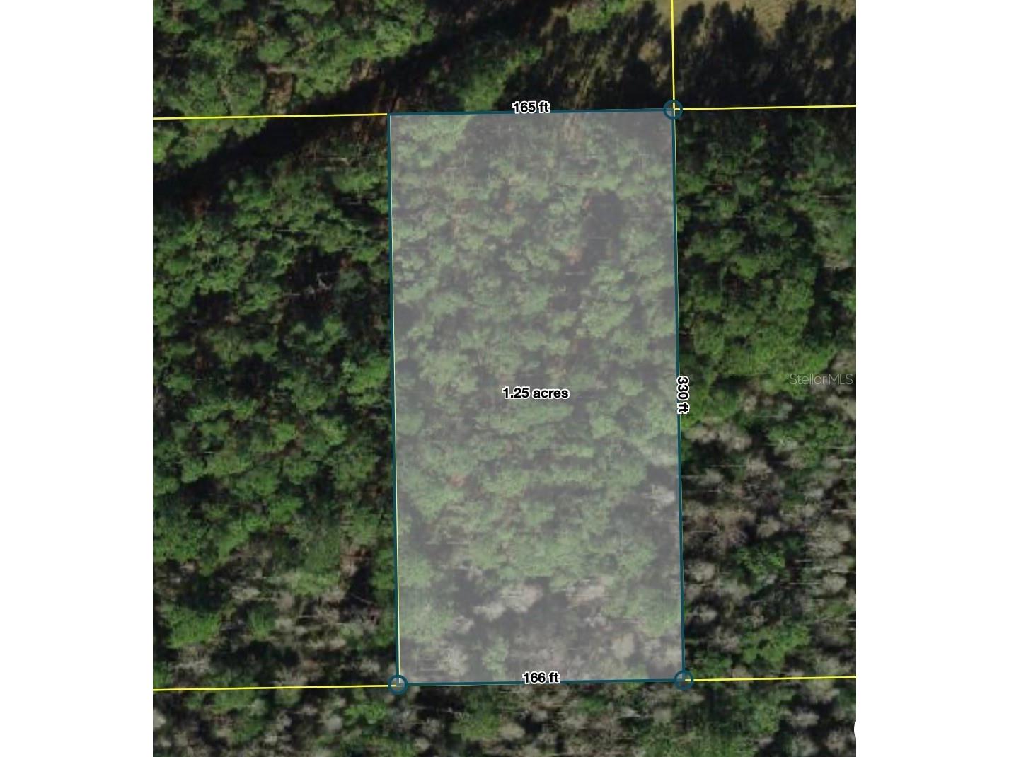 Polk City Polk City FL 33868 S5151562 image1