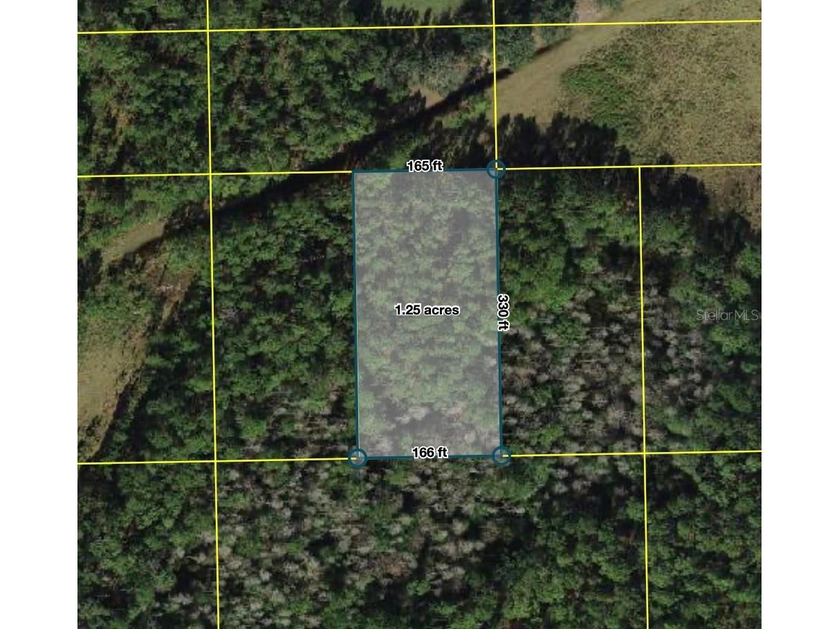 Polk City Polk City FL 33868 S5151562 image2