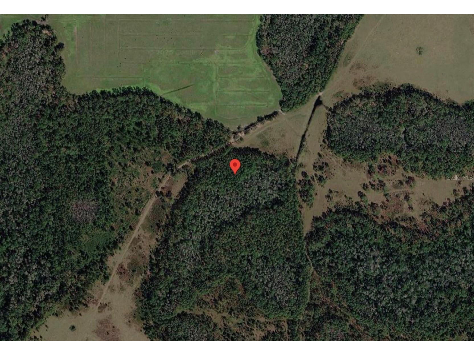 Polk City Polk City FL 33868 S5151562 image7