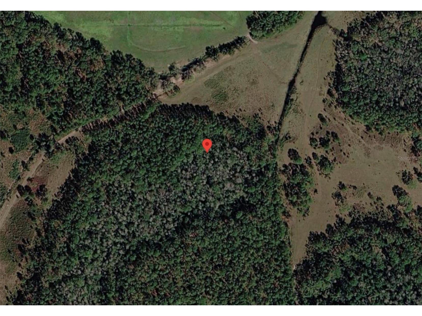 Polk City Polk City FL 33868 S5151573 image5