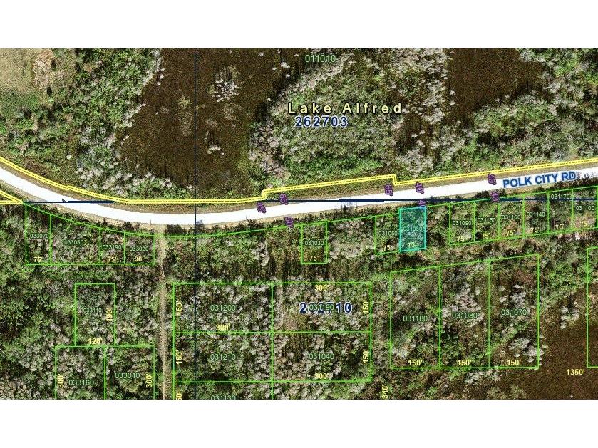 Polk City Road Polk City FL 33868 R4911106 image1