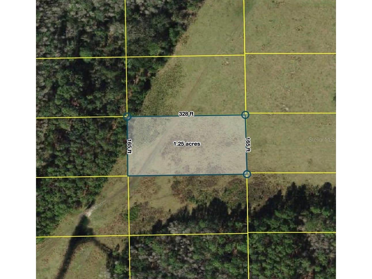 Polk City Polk City FL 33868 S5151322 image5