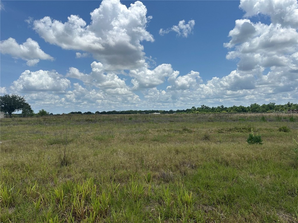Polk Road Wauchula FL 33873 A4651664 image1
