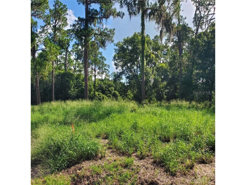 Pollard Road Winter Haven FL 33884 P4924846 image10