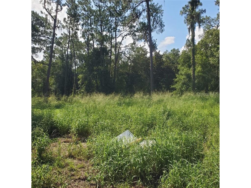 Pollard Road Winter Haven FL 33884 P4924846 image17