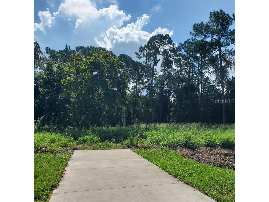 Pollard Road Winter Haven FL 33884 P4924846 image5