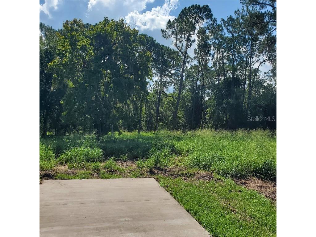 Pollard Road Winter Haven FL 33884 P4924846 image6