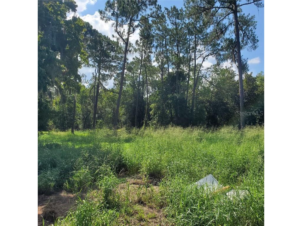 Pollard Road Winter Haven FL 33884 P4924846 image8