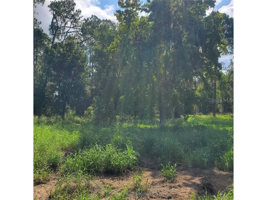 Pollard Road Winter Haven FL 33884 P4924846 image9