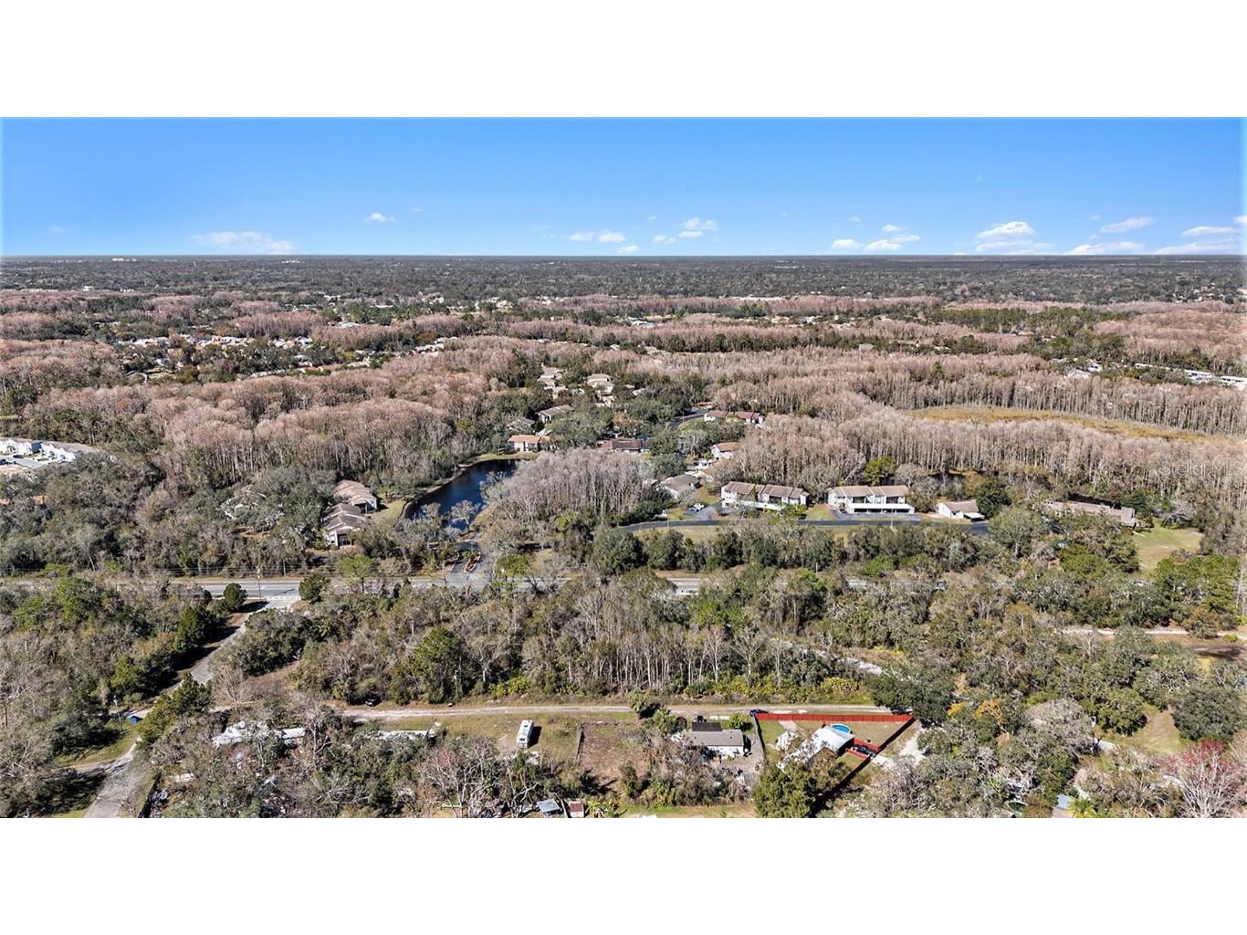 Polo Street New Port Richey FL 34654 TB8343061 image16