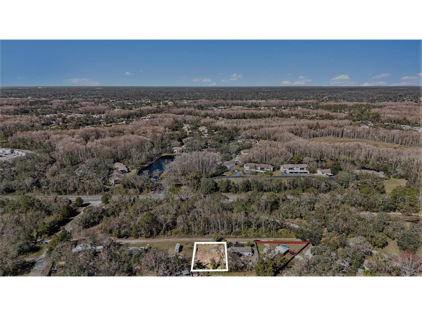 Polo Street New Port Richey FL 34654 TB8343061 image19