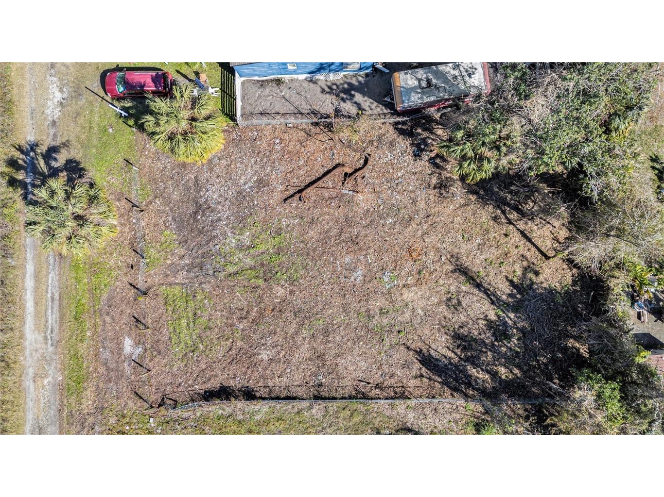 Polo Street New Port Richey FL 34654 TB8343061 image3