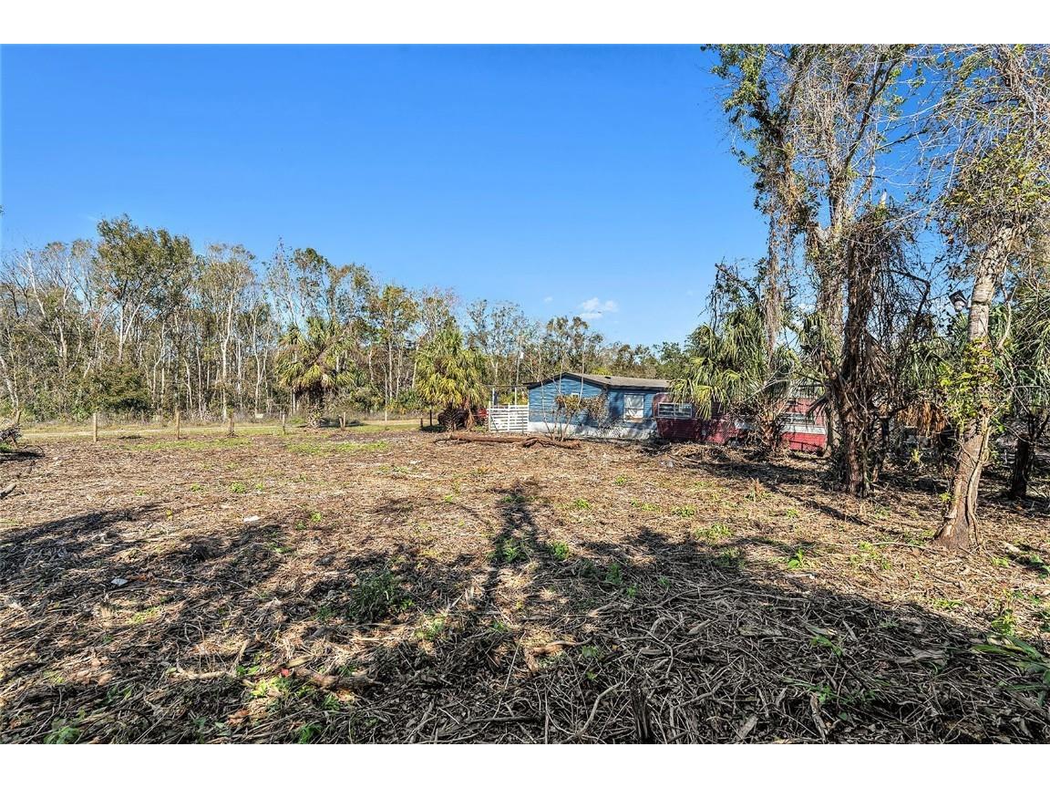 Polo Street New Port Richey FL 34654 TB8343061 image8