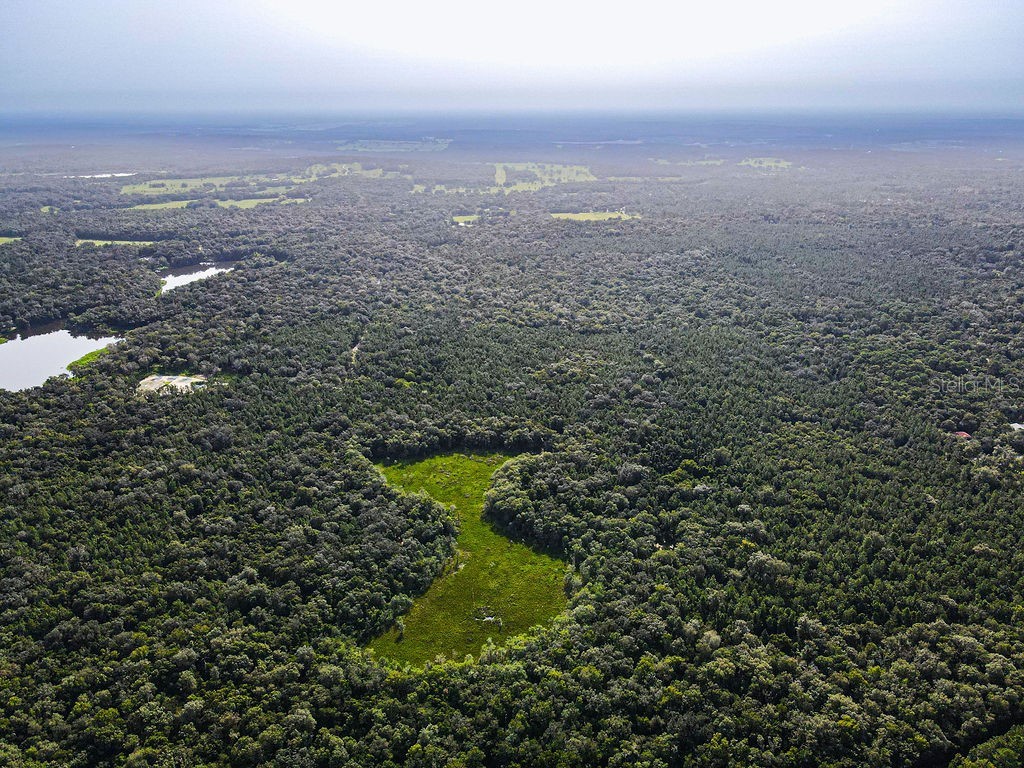 Ponce De Leon Boulevard Brooksville FL 34601 W7857331 image10