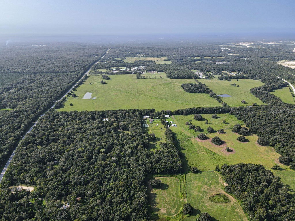 Ponce De Leon Boulevard Brooksville FL 34601 W7857331 image12