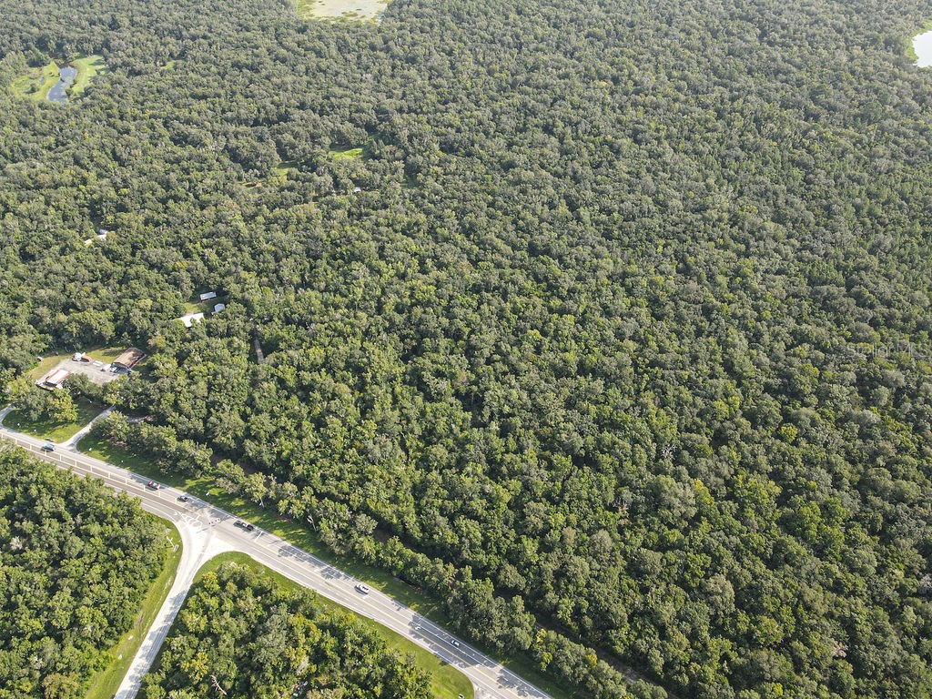 Ponce De Leon Boulevard Brooksville FL 34601 W7857331 image17