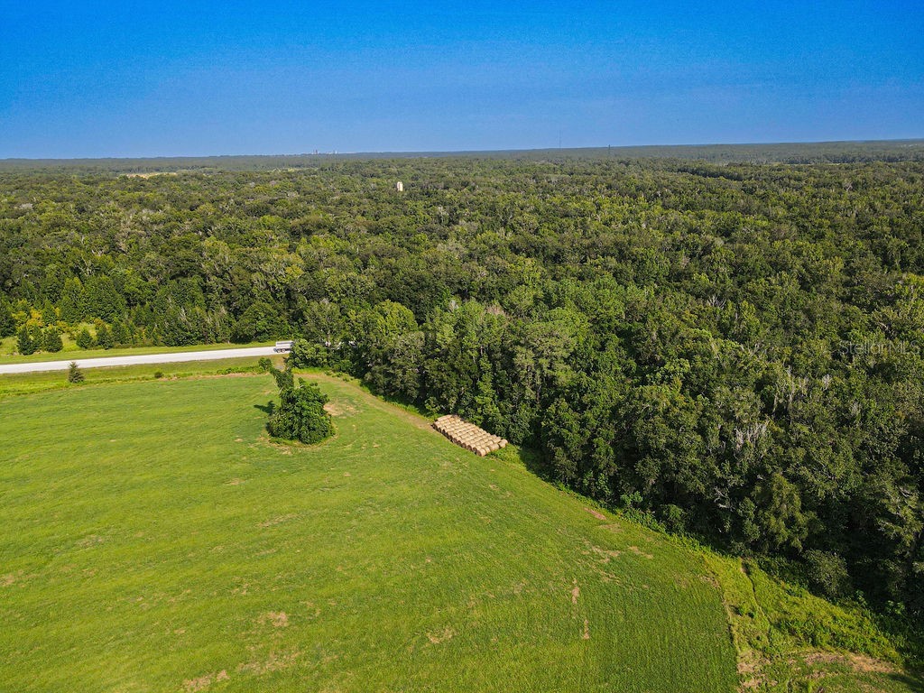 Ponce De Leon Boulevard Brooksville FL 34601 W7857331 image25