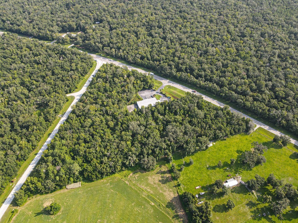 Ponce De Leon Boulevard Brooksville FL 34601 W7857331 image4