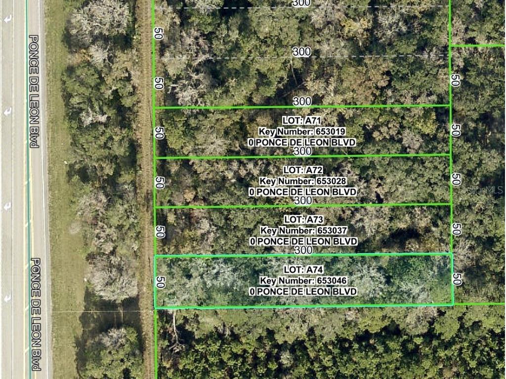 Ponce De Leon Boulevard Brooksville FL 34601 W7879524 image1