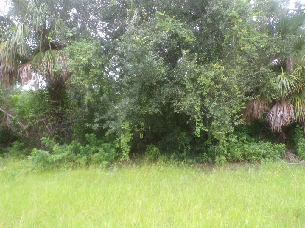 Ponce De Leon Boulevard North Port FL 34291 C7515107 image5