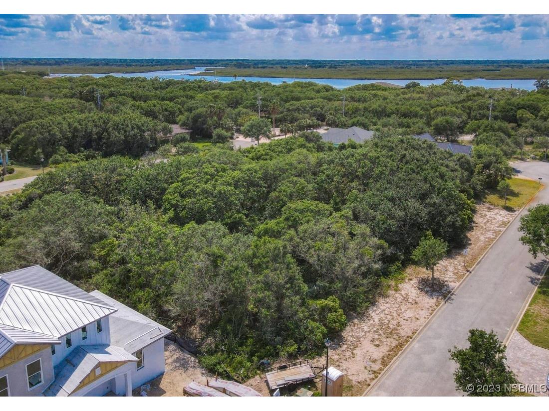  Ponce Inlet FL 32127 NS1075069 image1